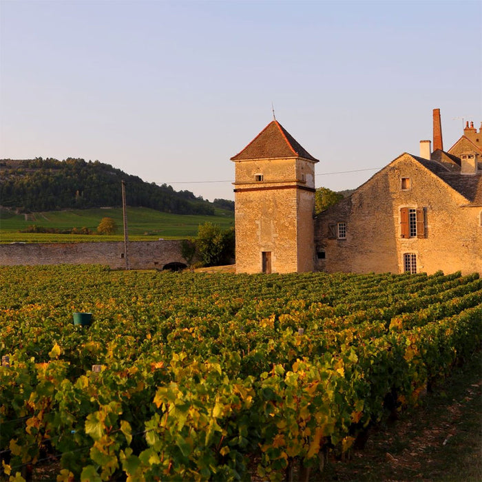 Clos Du Moulin Aux Moines