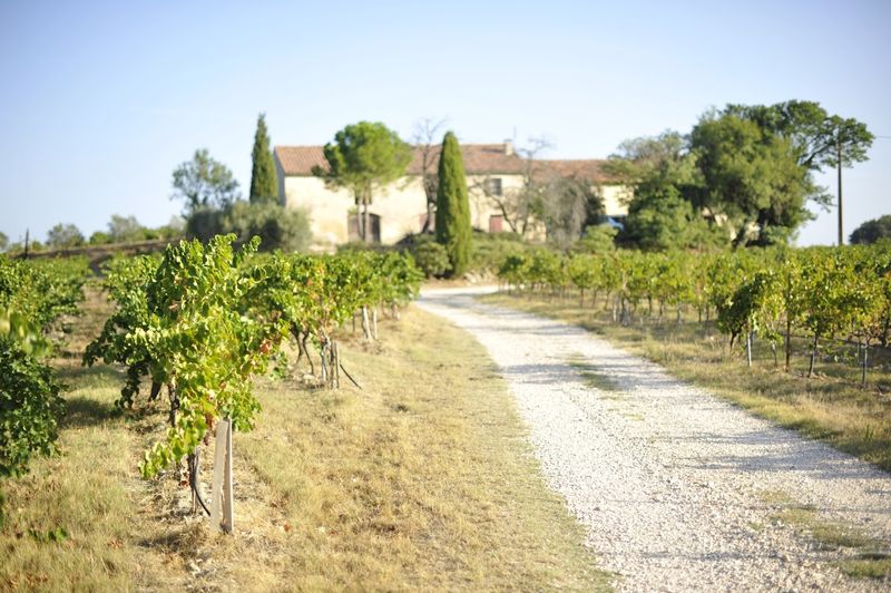 Clos St Antonin Clos St Antonin