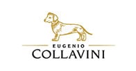 Collavini logo Collavini logo