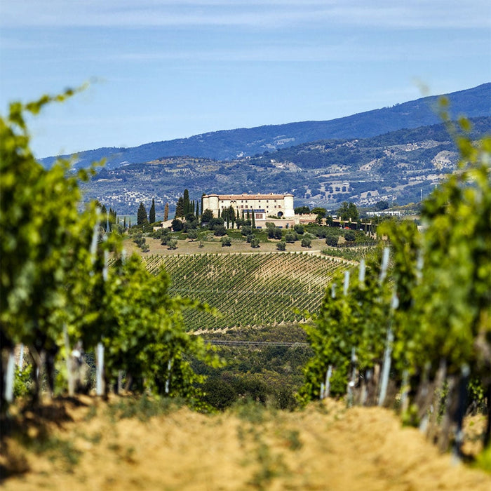 ColleMassari