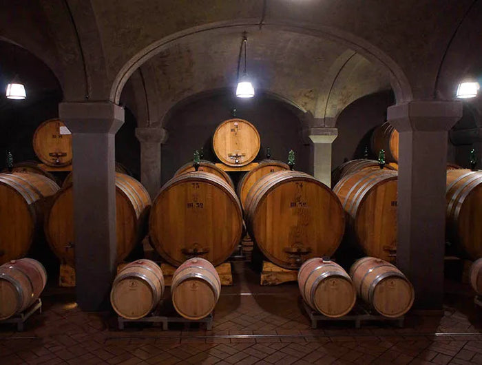 Collosorbo
