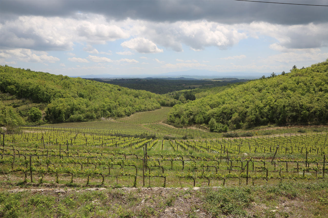Colombaio di Cencio Colombaio di Cencio