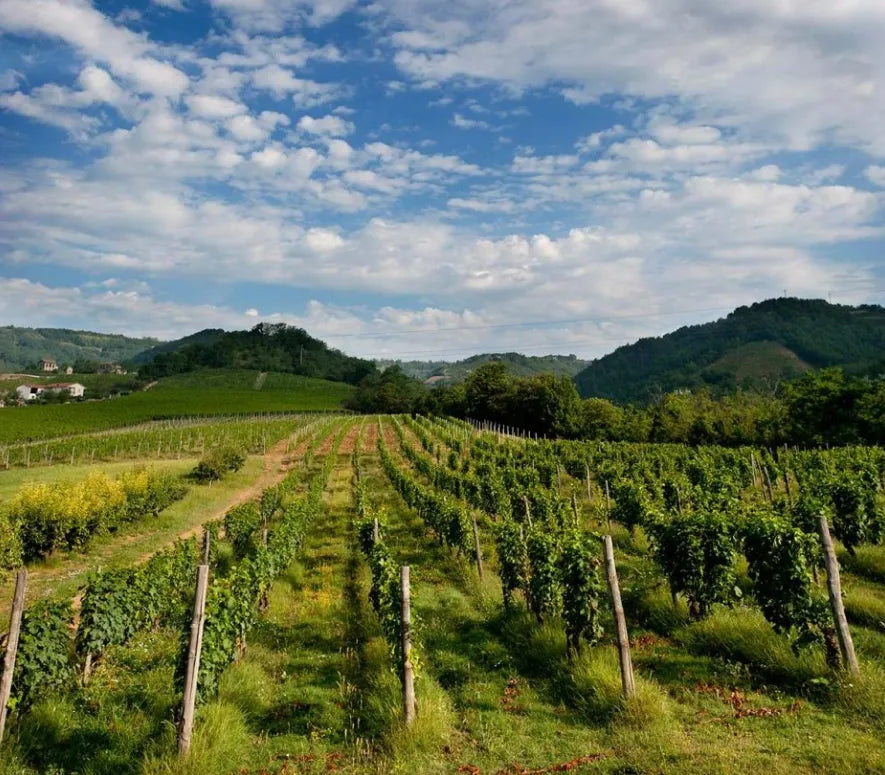 Colombo Cascina Pastori Colombo Cascina Pastori