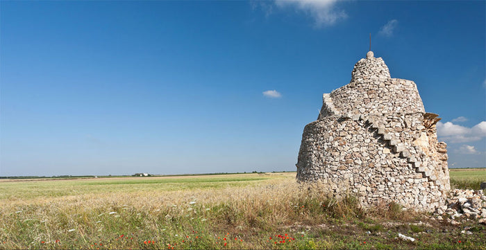 Conti Zecca