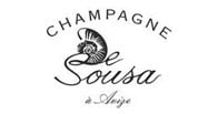 De Sousa logo De Sousa logo