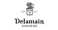 Delamain logo Delamain logo