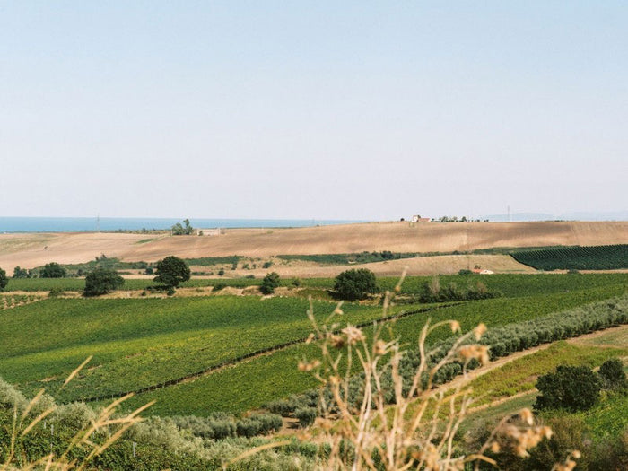 Di Majo Norante