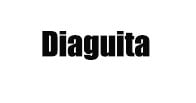 Diaguita logo Diaguita logo