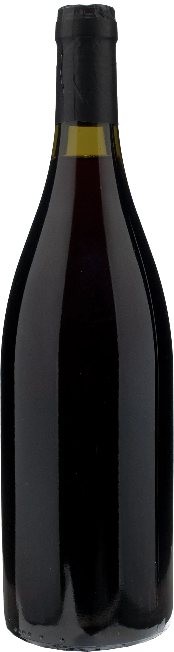 Domaine Arcelain Bourgogne Cote d'Or Pinot Noir 2021