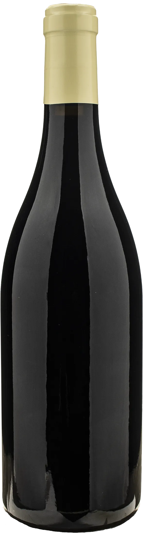 Domaine Bart Marsannay Au Champ Salomon 2022