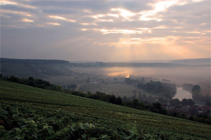 Domaine Bourgeois-Diaz