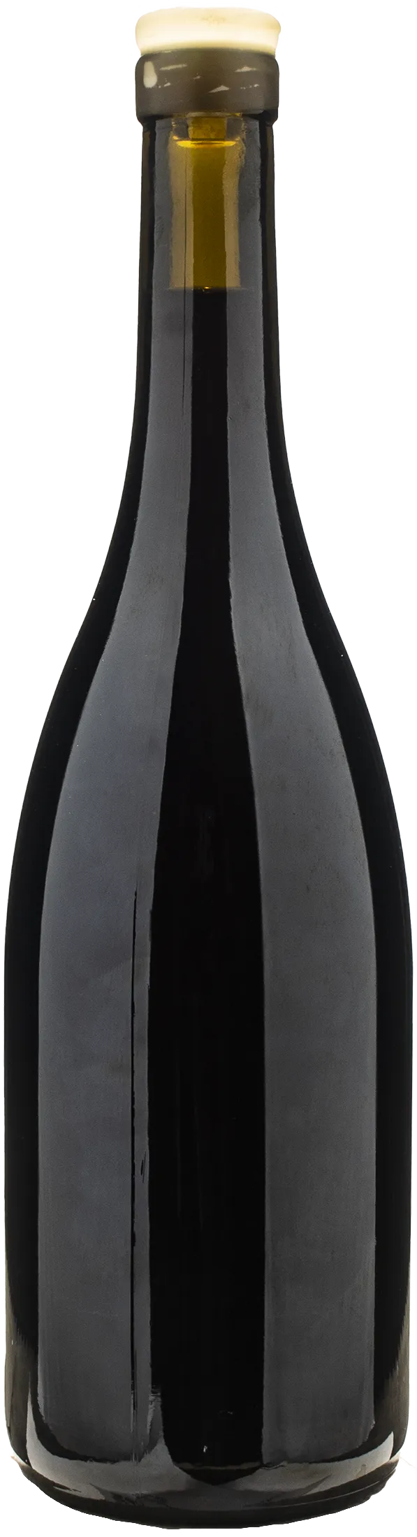 Domaine Dandelion Coteaux Bourguignon Fruit Defendu 2023