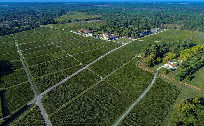 Domaine de Chevalier