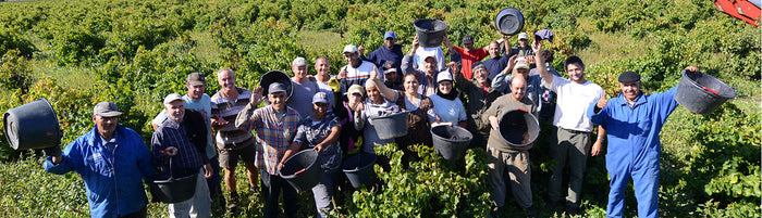 Domaine de la Janasse