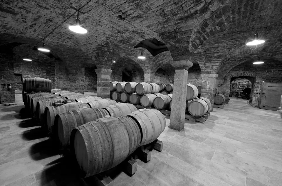 Domaine de la Tournelle Domaine de la Tournelle