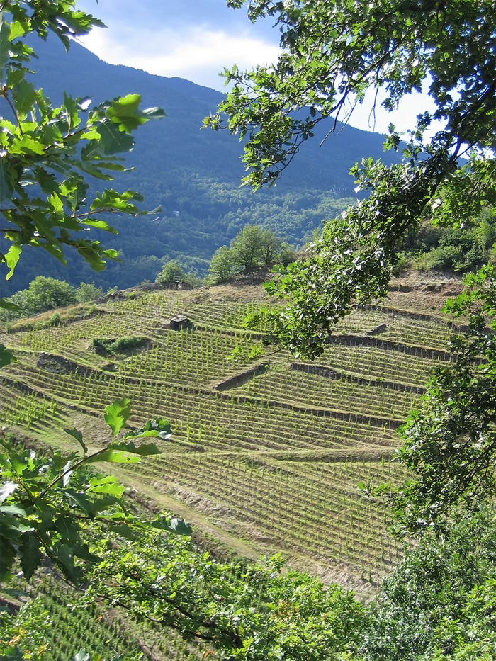 Domaine des Ardoisieres