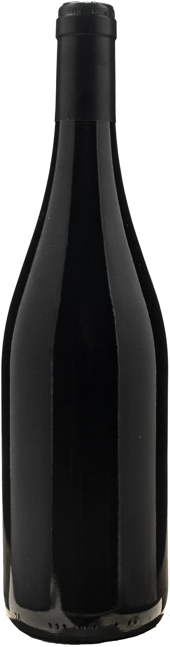 Domaine des Miquettes Saint Joseph 2022