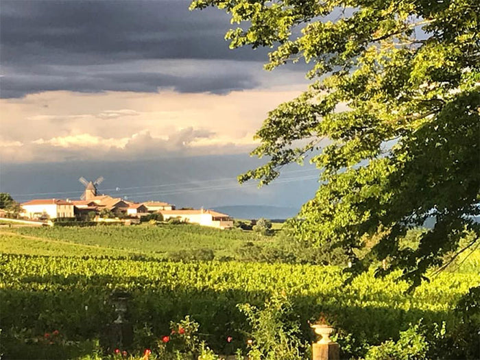 Domaine des Moriers