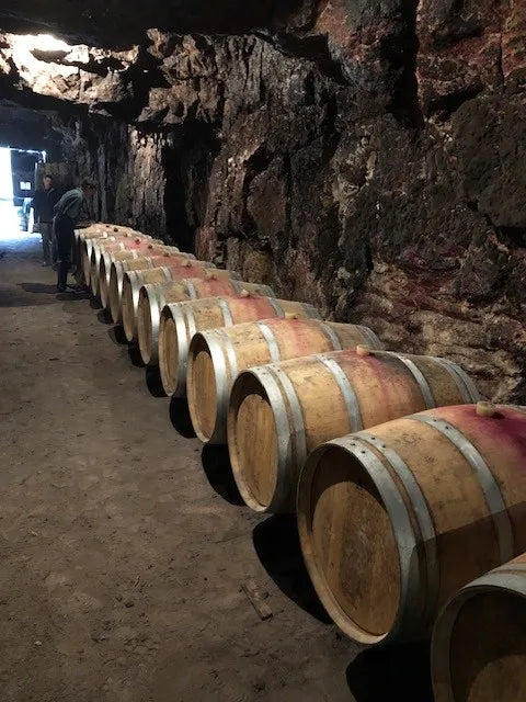 Domaine du Fossile
