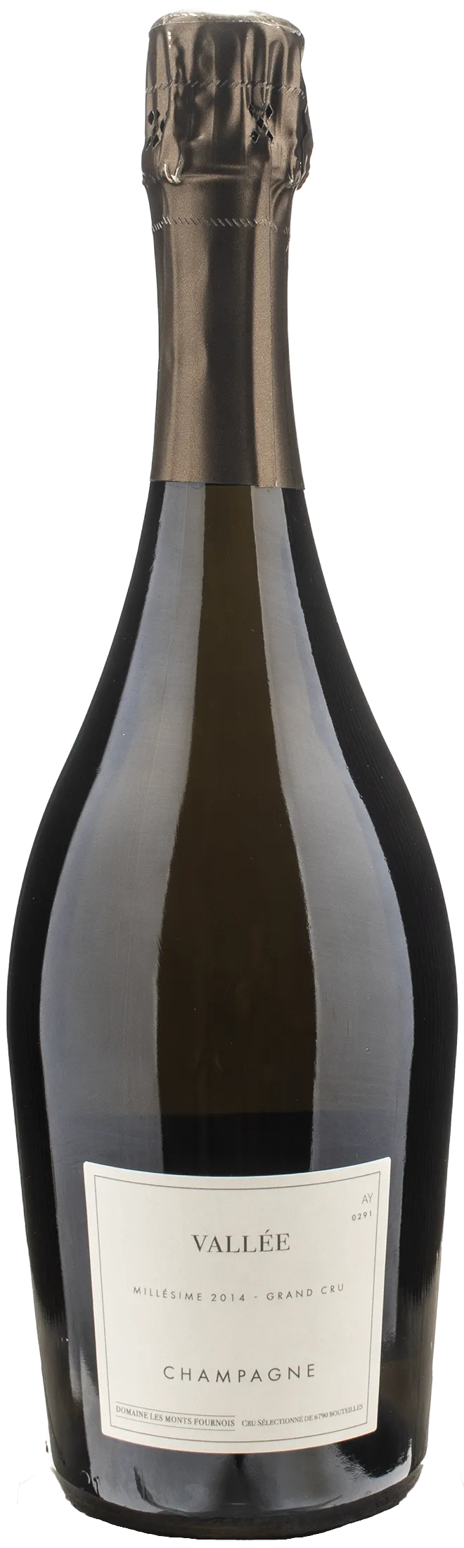Domaine Les Monts Fournois Champagne Grand Cru Vallee Extra Brut 2014
