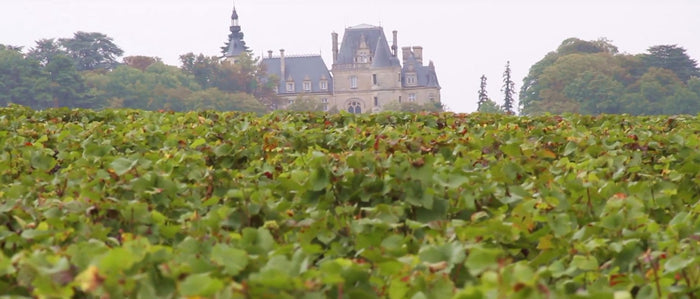 Domaine Marchand Freres
