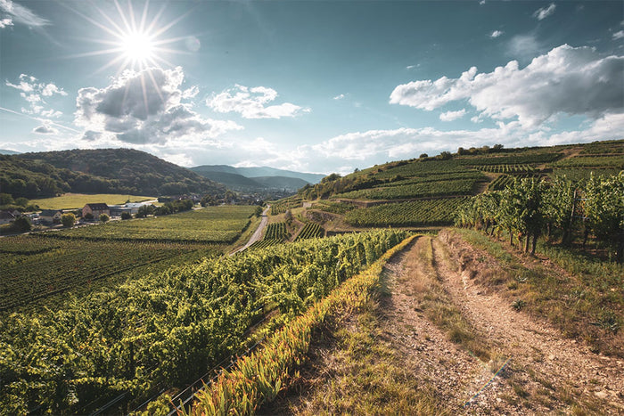 Domaine Muré