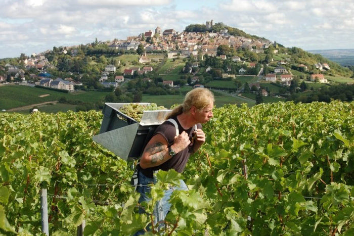 Domaine Vacheron