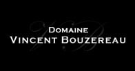 Domaine Vincent Bouzereau logo Domaine Vincent Bouzereau logo