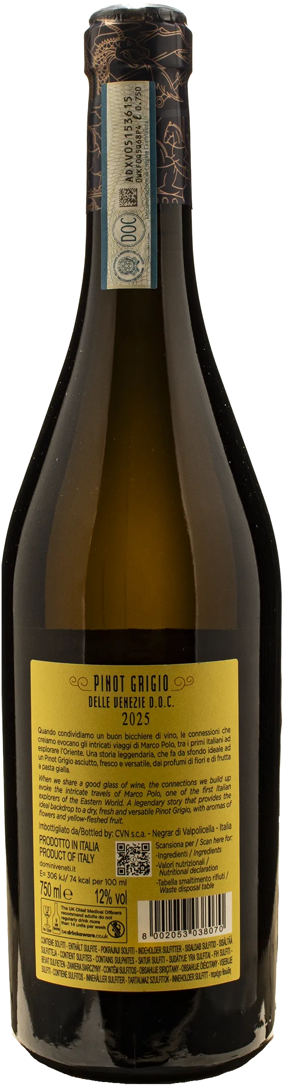 Domini Veneti Pinot Grigio delle Venezie Collezione Marco Polo 2025