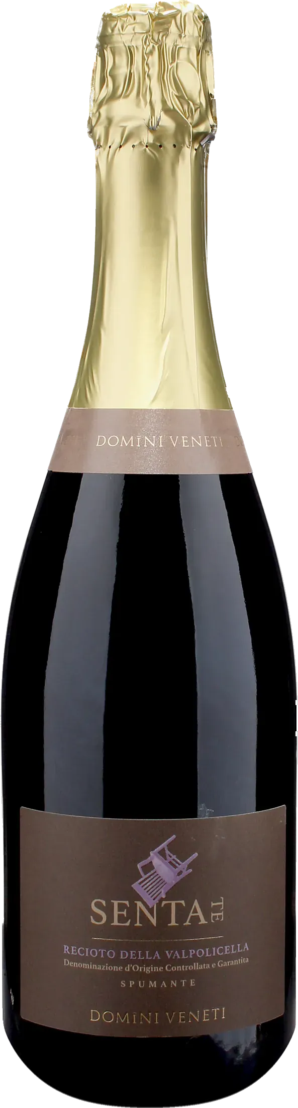 Domini Veneti Recioto della Valpolicella Sentate Spumante Dolce 2024