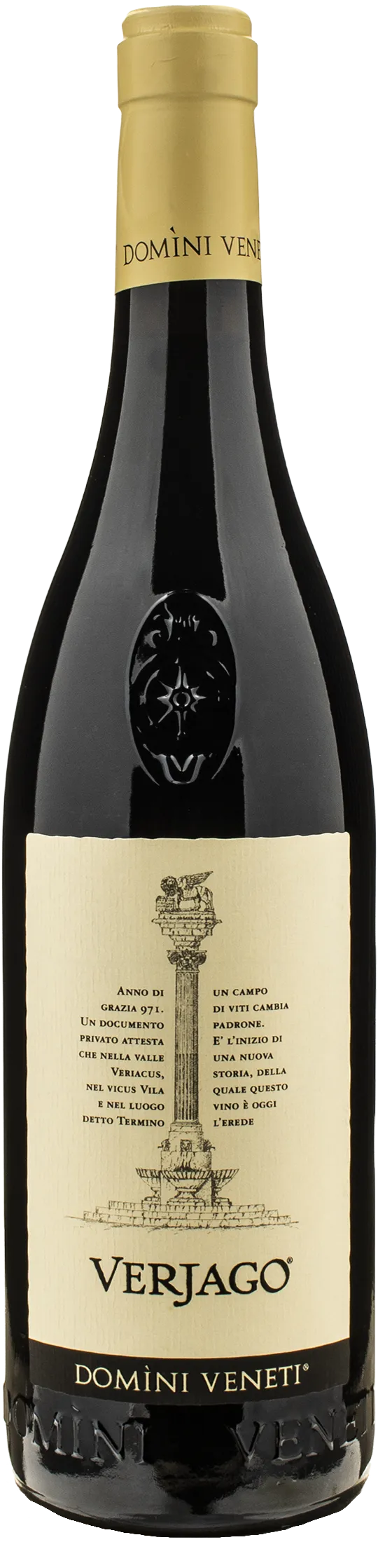 Domini Veneti Valpolicella Classico Superiore Verjago 2023