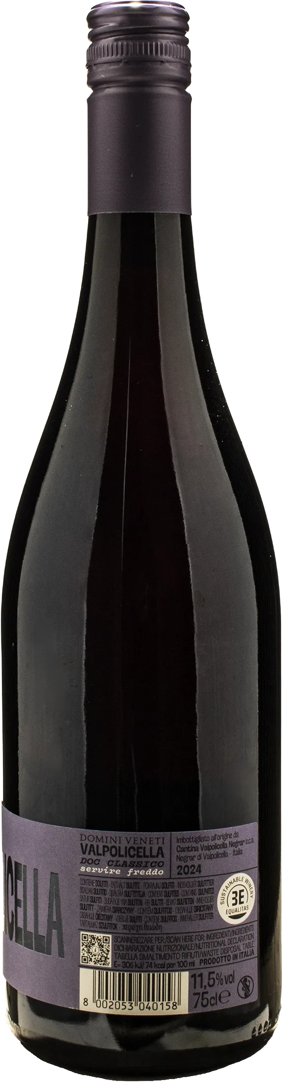 Domini Veneti Valpolicella Classico Valpo 2024