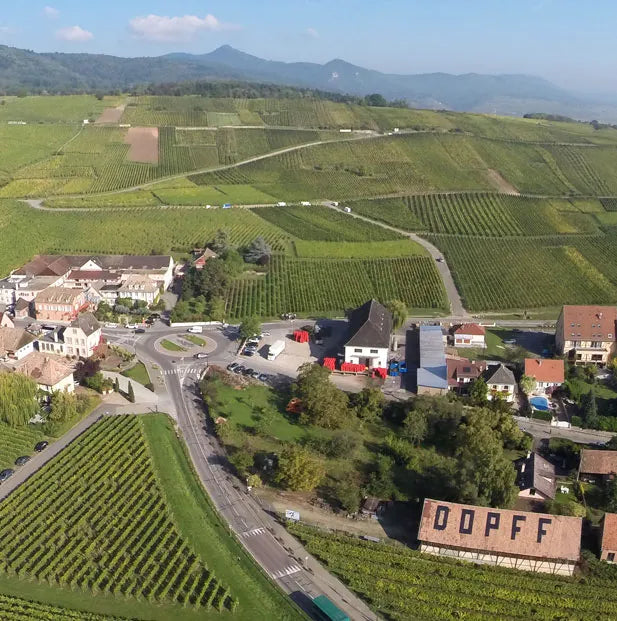 Dopff au Moulin Dopff au Moulin