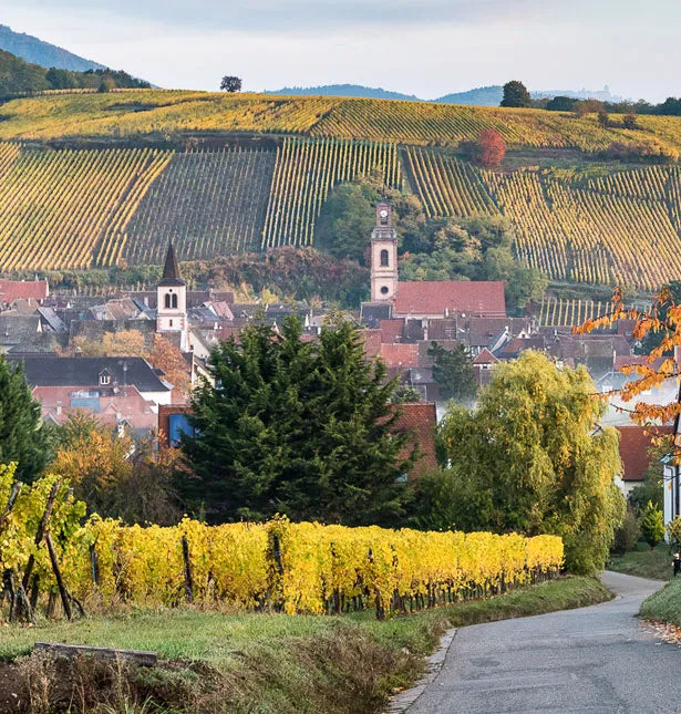 Dopff au Moulin Dopff au Moulin