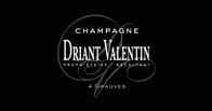 Driant - Valentin logo Driant - Valentin logo