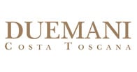 Duemani logo Duemani logo