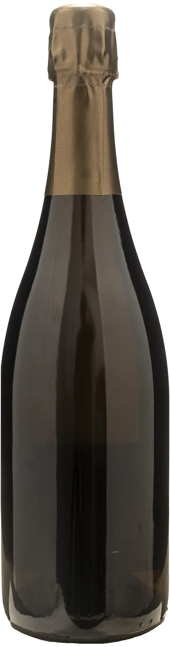 Emmanuel Brochet Champagne 1er Cru Extra Brut Les Hautes Vignes Le Mont Benoit 2017