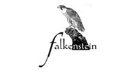Falkenstein (Franz Pratzner) logo Falkenstein (Franz Pratzner) logo