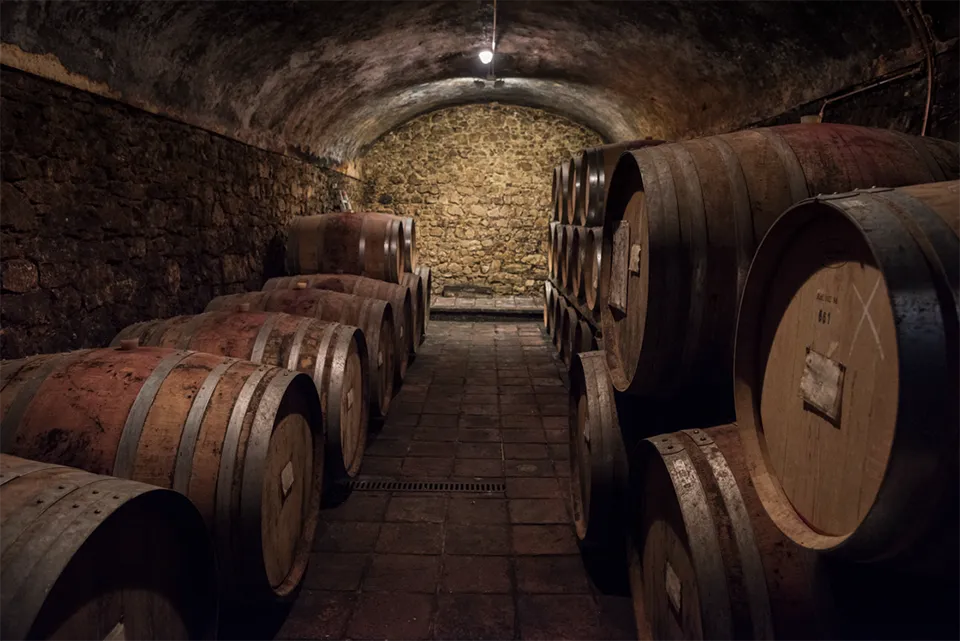 Fattoria San Giusto a Rentennano Fattoria San Giusto a Rentennano