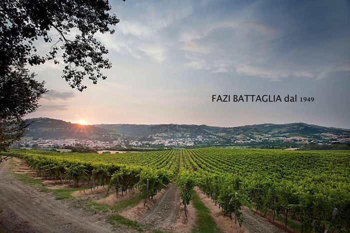 Fazi Battaglia