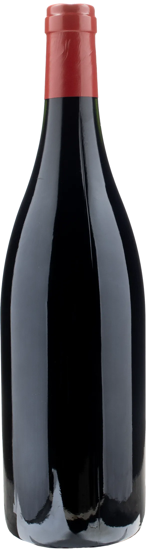 Federico Starderini Sempremai Sorte Sortira Cuna 2017