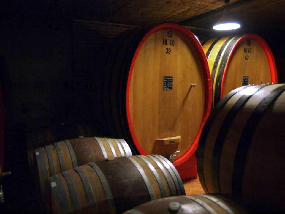 Principiano Ferdinando Principiano Ferdinando