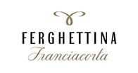 Ferghettina logo Ferghettina logo
