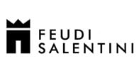 Feudi Salentini logo Feudi Salentini logo