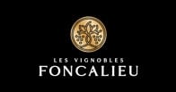 Foncalieu logo Foncalieu logo