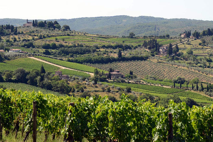 Fontodi
