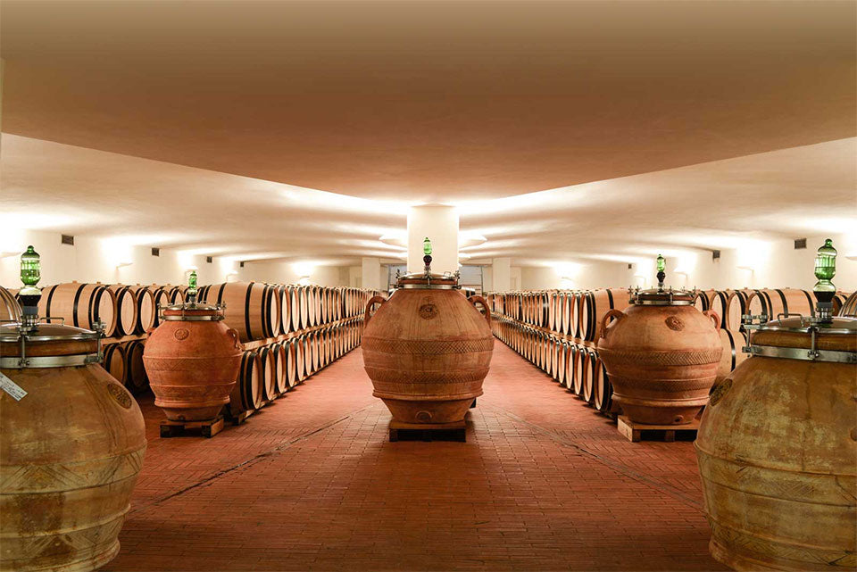 Fontodi Fontodi