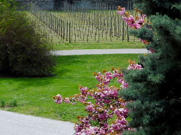 Friaul-Julisch Venetien 1 Friaul-Julisch Venetien 1