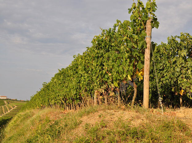 Friaul-Julisch Venetien 2 Friaul-Julisch Venetien 2