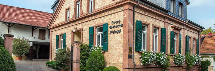 Georg Mosbacher